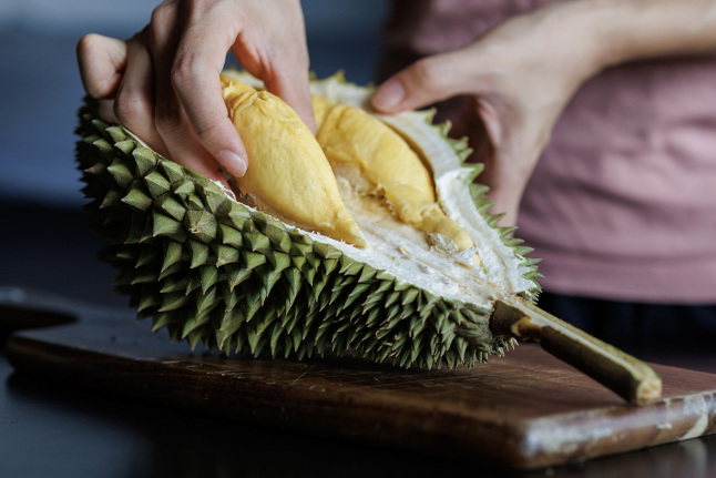 Diabetonix Clinical Product